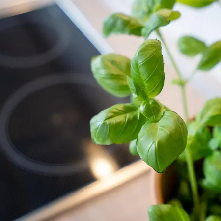 618 - Appartementresidenz *